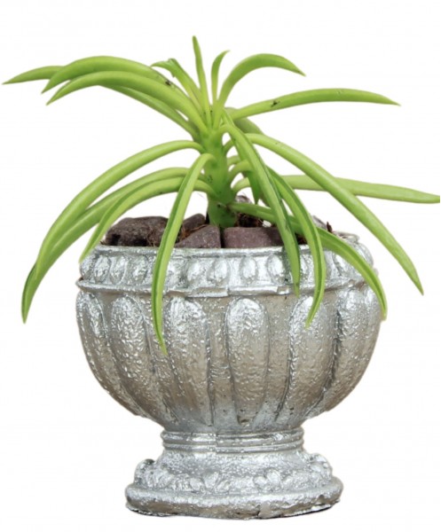 Mini Çiçek Saksı Küçük Sukulent Gümüş Kaktüs Saksısı Antika Vazo Model